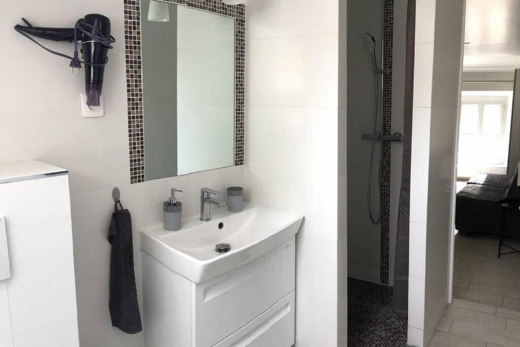 Duplex Bellifontain Au Coeur De Fontainebleau Lägenhet Exteriör bild